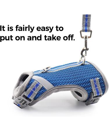 Pangdi Cat Harness and Leash Set - Escape Proof, Adjustable, Reflective - Blue Large - Buy Online on GoSupps.com