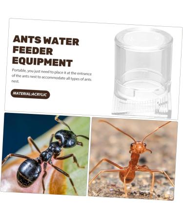 Yardwe Pet Water Feeder Ant Waterer Ant Bowl Ants Food Dispenser Ant Water Feeders Plastic Transparent - Buy Online on GoSupps.com