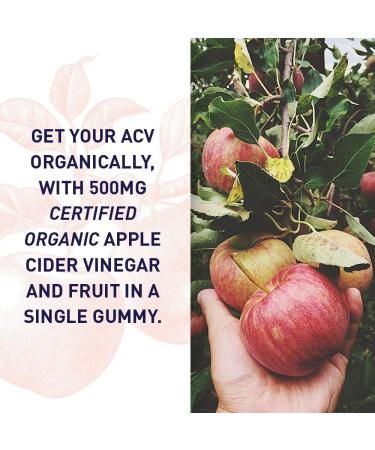 Garden of Life MyKind Organics Organic Apple Cider Vinegar Gummies - 60 Vegan Gummies for Wellness - Buy Online on GoSupps.com