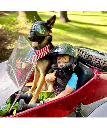 Petcute Dog Glasses | UV Protection Sunglasses for Large & Medium Dogs | Adjustable Elastic Strap for Outdoor Use - Buy Online on GoSupps.com