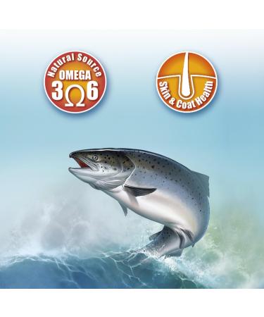 Arquivet - Scottish Salmon Oil - for Dogs and Cats - 1 Liter - Buy Online on GoSupps.com