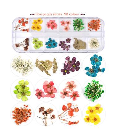 UNIME 24 Colors Nail Art Dried Flowers - Mini Real Natural 3D Applique Sticker for Manicure Decoration - Gypsophila Flowers Leaves - 2 Boxes - Buy Online on GoSupps.com