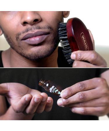 Wahl Beard Care Kit: Rechargeable Cordless Trimmer, Beard Oil, Brush - Men's Grooming Gift Set - Buy Online on GoSupps.com
