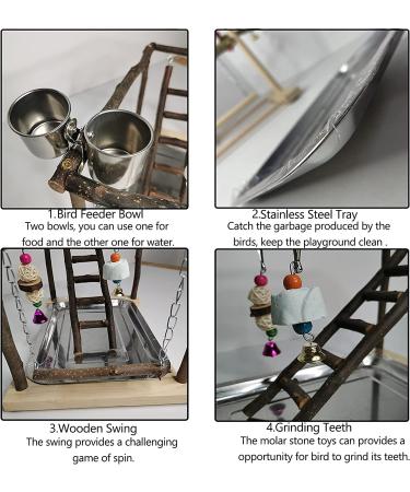 Tfwadmx Parrots Playstand with Feeding Cups, Perch Stand, and Toys - Bird Gym for Cockatiel, Conure, Lovebirds - Buy Online on GoSupps.com