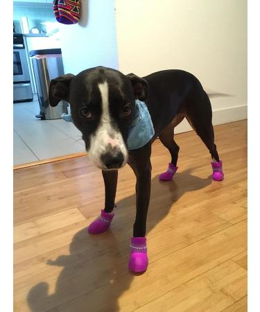 Purple Puppy Dog Rain Boots | Anti-Slip Waterproof Rubber Paws Cover (Size 1) - Buy Online on GoSupps.com