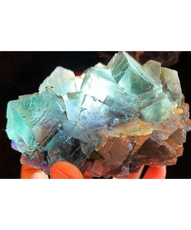 Natural Crystal Rough 707g Natural Green Purple Fluorite Cluster Crystal - Buy Online on GoSupps.com
