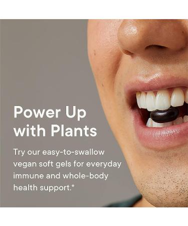 FOREST REMEDIES Elderberry Immune Support + Vegan Omegas | Plant-Based with Omega 3-6-9 | Gluten-Free & Non-GMO Soft Gels - Buy Online on GoSupps.com