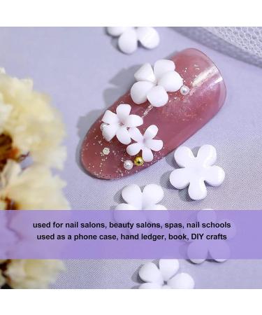 3D Nail Flowers Resin Nail Charms Rhinestone Superior Materials Portable Storage Box Easy Achieve Nail Art Designs Colorful Options for DIY Decoration - Buy Online on GoSupps.com