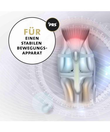 Peticare Joints Arthrosis Powder for Cats | High Quality MSM Collagen | Musculoskeletal System | High Acceptance: No Tablets | Natural Food Supplement - petCat Health 3502 - Buy Online on GoSupps.com