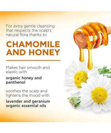 APIVITA Gentle Daily Shampoo - Sulfate Free Hair Care for Men & Women | Hydrates Protects Scalp & Prevents Split Ends | Rosemary Honey & Chamomile | All Hair Types - 8.45 Fl Oz - Buy Online on GoSupps.com