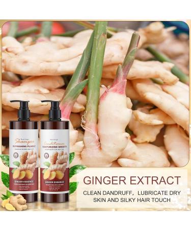Set of 2 Ginger Shampoo & Conditioner - Deep Cleanser & Anti-Frizz Hydrating Care | Volumizing Oil Control for Men & Women - 17 oz - Buy Online on GoSupps.com