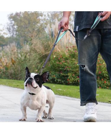 Vivaglory Traffic Handle Dog Leash - Two Padded Handles Reflective & Strong Metal Hook - 1.8m Training Line for Dogs - Gray - Buy Online on GoSupps.com