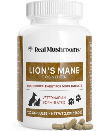 Real Mushrooms Lions Mane Pet Support Mushroom Supplement - Cat & Dog Vitamins and Supplements for Cognition & Memory Support - Vet Approved Mushroom Complex Capsules (120ct) Gluten-Free, Non-GMO
