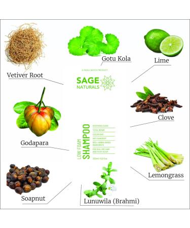 Total Repair Shampoo - Ultimate Hair Recovery for All Hair Types | Shop Internationally - Buy Online on GoSupps.com