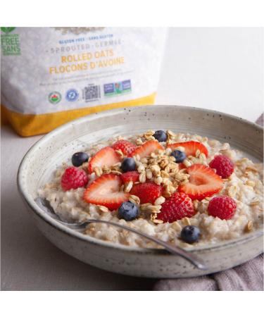 One Degree Organic Foods Sprouted Rolled Oats - USDA Organic, Non-GMO, Gluten Free Oatmeal - 24 oz (Pack of 4) - Buy Online on GoSupps.com