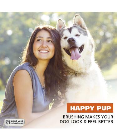 Wahl Premium Pet Double Sided Pin Bristle Brush - Model 858501 | Removes Loose Hair, Stimulates Skin, Creates Soft Coat Shine - Buy Online on GoSupps.com