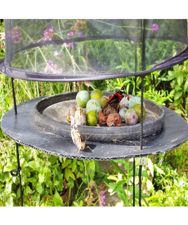 KUANDARMX Insect and Butterfly Habitat Cage Terrarium Butterfly Habitat Insect Cage - Round Pop Up Mesh Net Black - Buy Online on GoSupps.com