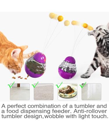Interactive Cat Teaser Toy - Perfect Indoor Kitten Toy and Birthday Gift - Buy Online on GoSupps.com