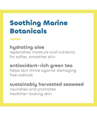 Seaweed Bath Co. Sheer Protect Daily SPF 30 Broad Spectrum Sunscreen Cream - 3.4 oz - Seaweed, Aloe, Green Tea - Buy Online on GoSupps.com
