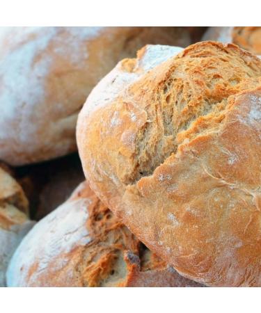 BIRCH & MEADOW Brewer's Yeast 2.3 lb Inactive Yeast Smoothies & Shakes Supplement 2.3 Pound (Pack of 1) - Buy Online on GoSupps.com