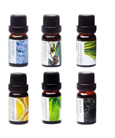 PURE AROMA 100% Pure Essential Oils Kit - Top 6 Aromatherapy Gift Set, 6 Pack 10ML - Eucalyptus, Lavender, Lemon Grass, Orange, Peppermint, Tea Tree - Buy Online on GoSupps.com