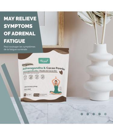 VORST Organic Ashwagandha Powder 2640mg With Cacao | 600g | Stress Relief & Energy | Low Carb & Calorie | Superfood Supplement | Hot Chocolate Mix | Root Powder for Drinks | Gluten-Free & Keto | For Men & Women - Buy Online on GoSupps.com