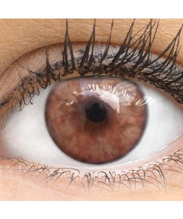 Natural Brown Contact Lenses | Novelry Lucca Brown - Silicon Comfort - 1 Pair + Container - Dia 14.00 - 0.00 Dioptries - International Shipping Available - Buy Online on GoSupps.com