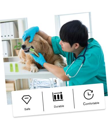 ORFOFE 1 Set Pet Toothbrush Kitten Toothbrushes Dog Toothbrush for Small Dogs Dog Toothpaste Pets Pp Green - Buy Online on GoSupps.com