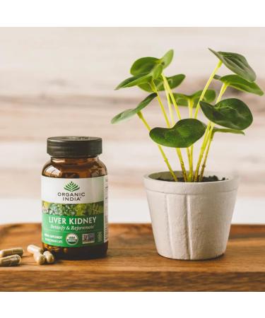 ORGANIC INDIA Liver Kidney Herbal Supplement - Detoxify & Rejuvenate, Supports Healthy Liver & Kidney Function, Vegan, Gluten-Free, Kosher, USDA Certified Organic, Non-GMO - 180 Capsules 180 Count (Pack of 1) - Buy Online on GoSupps.com