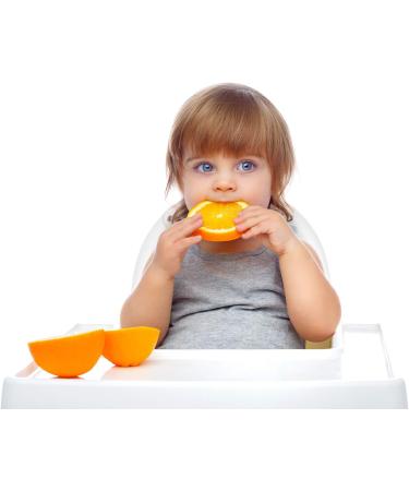 Raw Garden Natural Liquid Vitamin C with Rose Hip Amla Camu Camu Acerola 1 Pack 25 OZ Plastic Bottle 25 Fl Oz (Pack of 1) - Buy Online on GoSupps.com