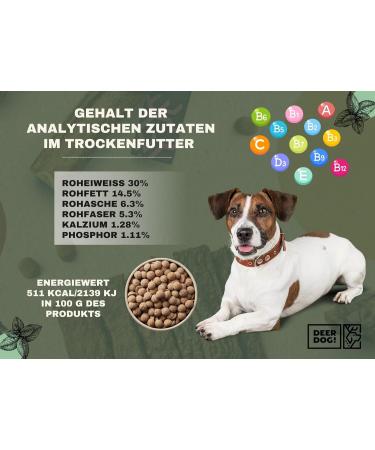 DEER DOG! (1 x 5 kg) | Dog food with venison and sweet potato for large dogs | Super Premium dry food for dogs | 1 pack - Buy Online on GoSupps.com