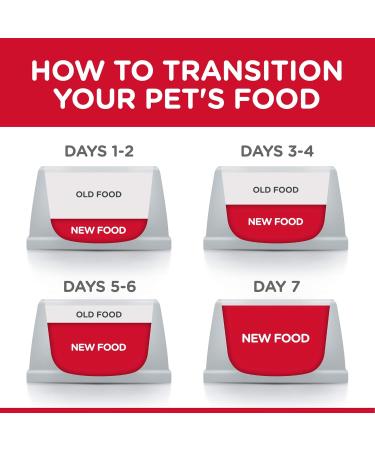 Hill's Science Diet Adult Hairball Control Cat Food Chicken Recipe Dry Cat Food 7 lb Bag - Buy Online on GoSupps.com