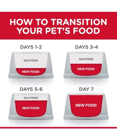 Hill's Science Diet Adult Oral Care Chicken Recipe Dry Cat Food for dental health 15.5 lb Bag 7.03 kg (Pack of 1) Adult | Chicken Cat Food - Buy Online on GoSupps.com