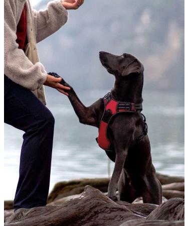 Joytale No Pull Dog Harness Reflective Pet Vest with Front Clip Adjustable Soft Breathable Harnesses with Easy Control Handle for Medium Dogs Training and Walking Red M M (Pack of 1) Red - Buy Online on GoSupps.com