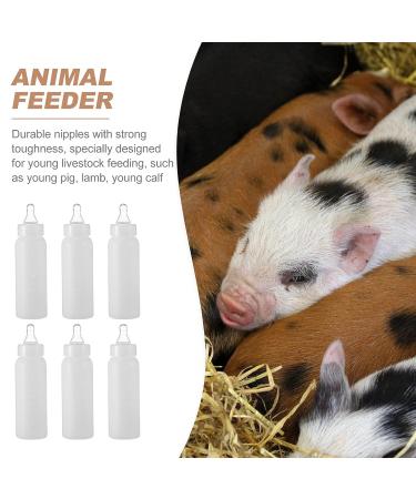 6pcs 250ml Calf Feeding Bottles | Lamb Goat Milk Feeder Set | Baby Nursing Bottle with Teat Nipple | Sheep Replacement Feeding Bottle Kit - Buy Online on GoSupps.com