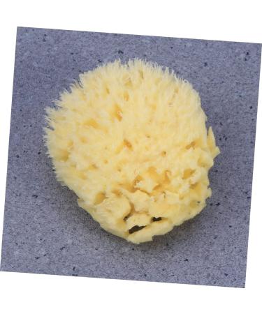 Healeved Bath Sponge Sponges Bath Shower Sponge Seaweed Sponge Natural Algae Sponge - Buy Online on GoSupps.com