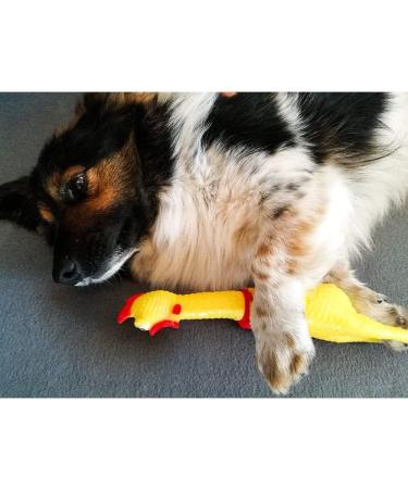 Proleo 4-Pack Yellow Rubber Squeaking Chicken Toys Durable Novelty Decompression Gadgets for All Ages - Buy Online on GoSupps.com