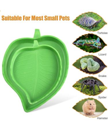2Pcs Tortoise Water Bowls Reptile Feeding Dish Leaf Shape Reptile Food Water Bowl Feeding and Water Dish Reptile Accessories Tortoise Water Dish Tortoise Cage Accessories - Buy Online on GoSupps.com