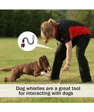 High-Frequency Dog Whistle & Clicker Set - R tter Refraction Training Tools for Barking Control & Recall - 2 Packs in Black & Red - Buy Online on GoSupps.com