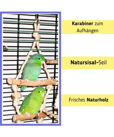 2X Double Swing Bird Swing for Budgies | Natural Wood Bird Perch | Shop Internationally - Buy Online on GoSupps.com