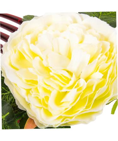 Didiseaon Hair Side Combs for Women French Hair Combs Dappen Dish for Acrylic Nails Rainbow Pencil Holder Wedding Hair Comb Flower Hair Decor Flower Headdress Women's Plastic Leaf - Buy Online on GoSupps.com