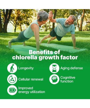FEBICO Chlorella Growth Factor CGF Capsules 350mg 30 Count Non-GMO Vegan Supplement for Immunity & Cognitive Health Natural Spermidine Superfood - Buy Online on GoSupps.com