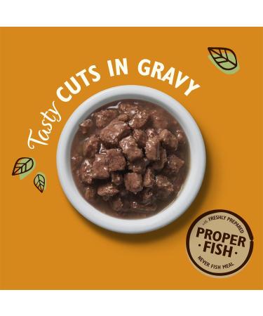 Lily's Kitchen Natural Wet Food Canned for Adult Cats Delicious Fish Bites in Gravy Grain-Free Recipe (24 x 85g Trays) - Buy Online on GoSupps.com