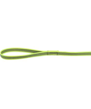 IDC Color & Gray Rubberized Leash 20mm x 1.2m - Neon Gray | Durable & Stylish Dog Leash for International Shipping - Buy Online on GoSupps.com