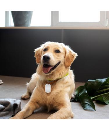 30 Blank Stainless Steel Dog Pendants for DIY Crafts - Rectangle Dog Day Necklace Metal Tags - Buy Online on GoSupps.com