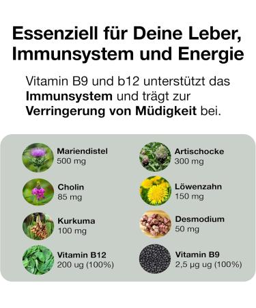 High-Dose Liver Capsules - 120 Natural & Vegan Capsules with Milk Thistle Choline Artichoke - Laboratory Tested & Detox Winner - Made in Germany - Buy Online on GoSupps.com