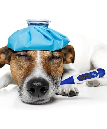 Pet Thermometer Digital Veterinary Thermometer Waterproof Digital Thermometer for Pets Pet Thermometer with Reminder Function Thermometer for Dogs Cats Horse Cattle Pigs Sheep - Buy Online on GoSupps.com