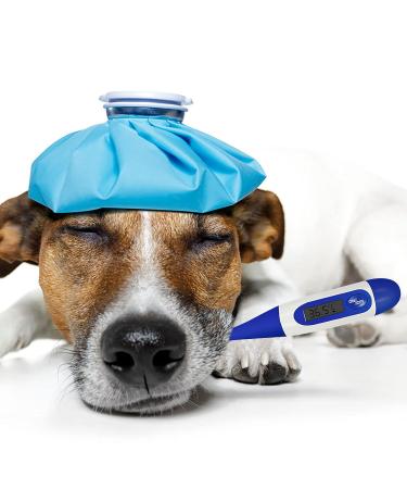 Digital Pet Thermometer | Waterproof Veterinary Thermometer for Pets | Reminder Function for Dogs, Cats, Horses, Cattle, Pigs, Sheep - Buy Online on GoSupps.com