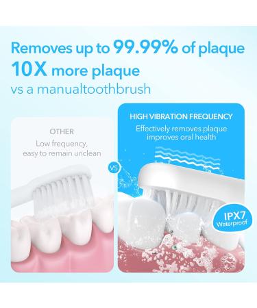 Sejoy Rechargeable Electric Toothbrush with 4 Brush Heads - 3 Modes, Smart Timer - Black (One-Key) - Buy Online on GoSupps.com