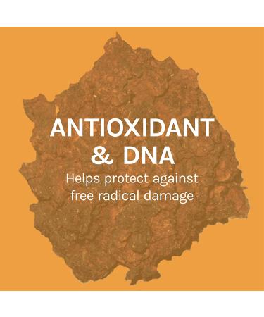 Fungi Perfecti Chaga Capsules - 120 Vegetarian Capsules for Immune Support - Buy Online on GoSupps.com